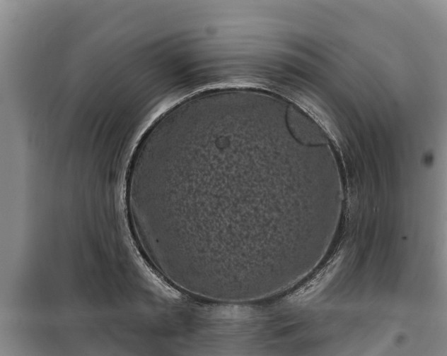 X0000100200797200806061321