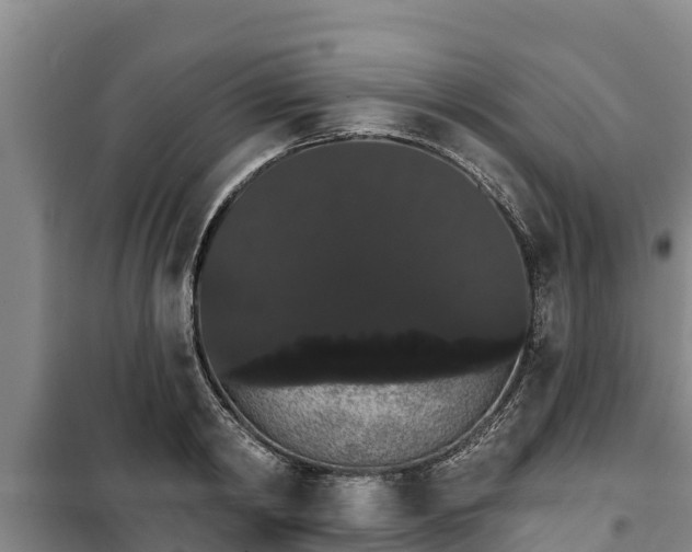 X0000100200798200806061321