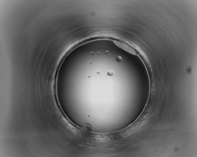 X0000100200799200806061321