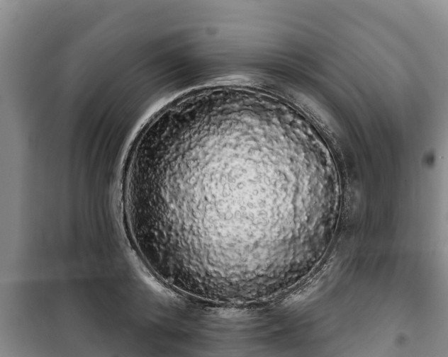 X0000100200800200806061321