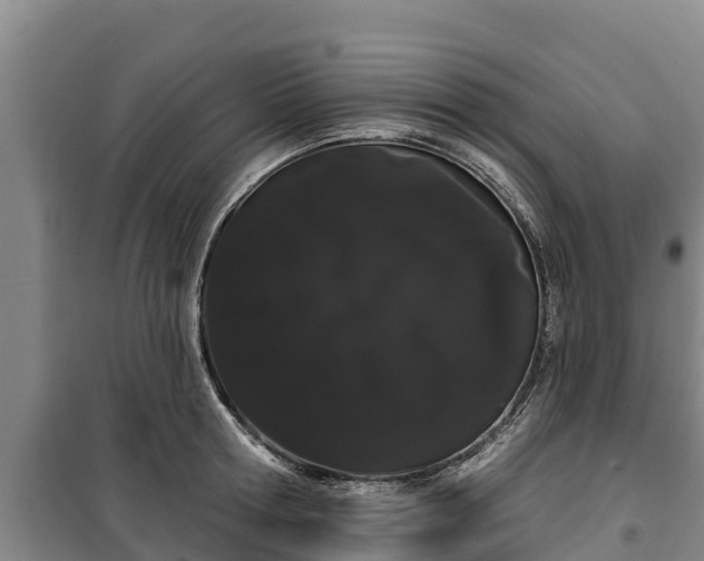 X0000100200802200806061321