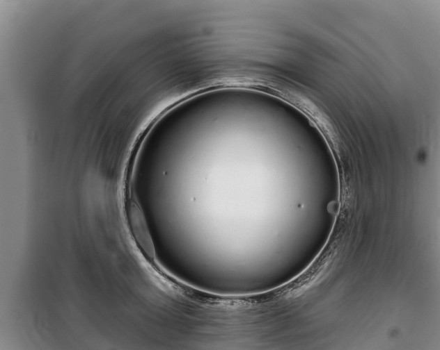 X0000100200803200806061321