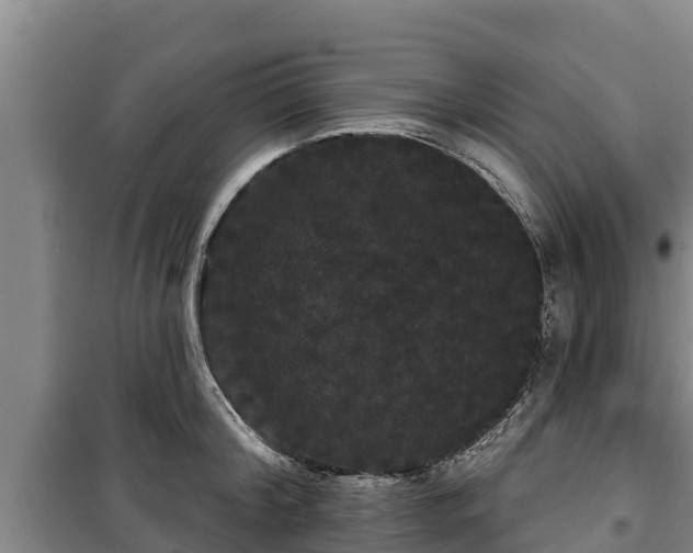 X0000100200804200806061321