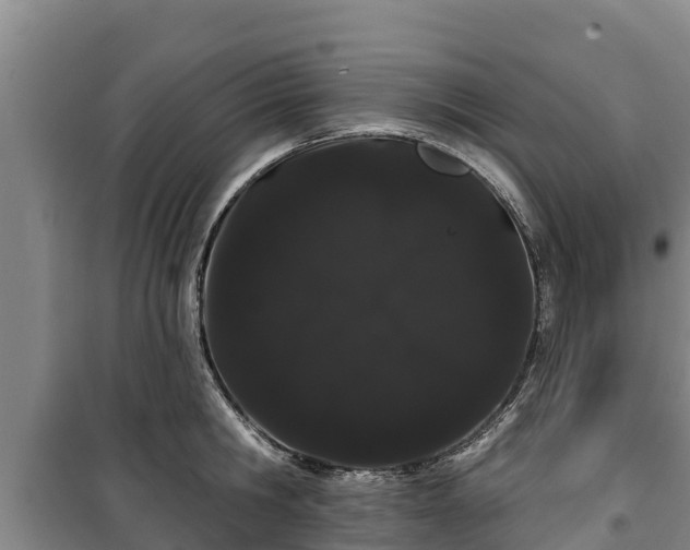 X0000100200806200806061321