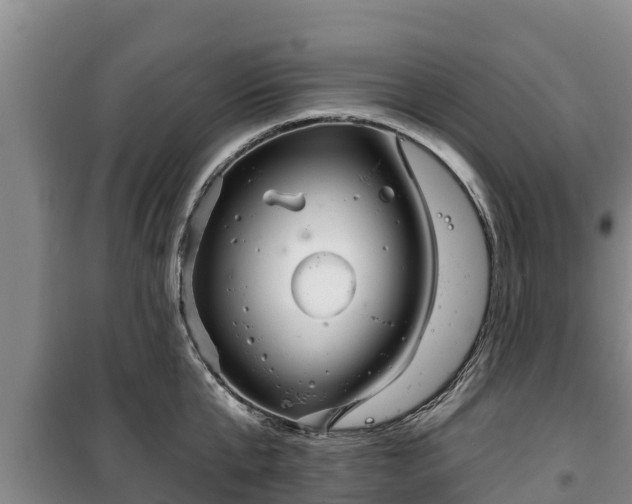 X0000100200807200806061321