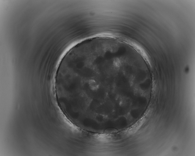 X0000100200808200806061321