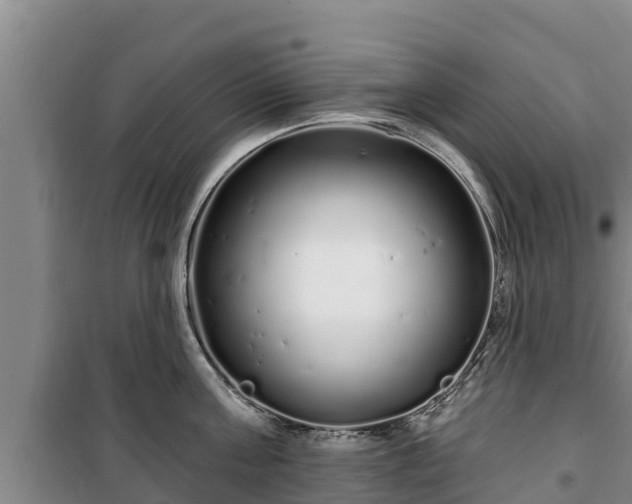 X0000100200811200806061321