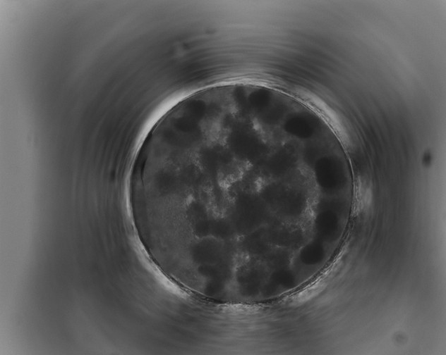 X0000100200812200806061321