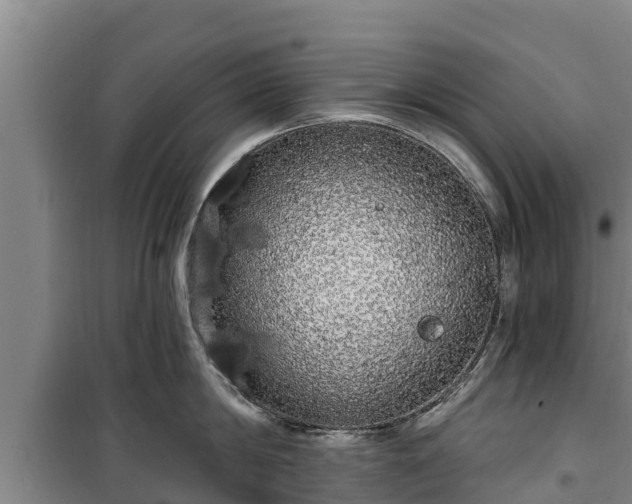 X0000100200814200806061321