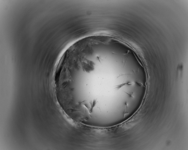 X0000100200816200806061321