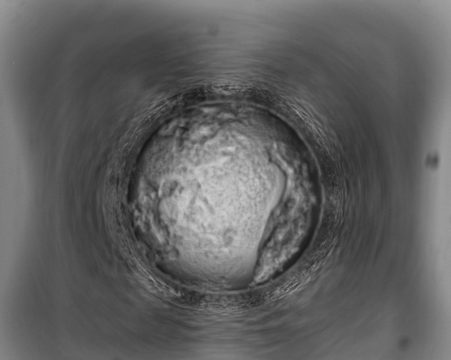 X0000100200817200806061320