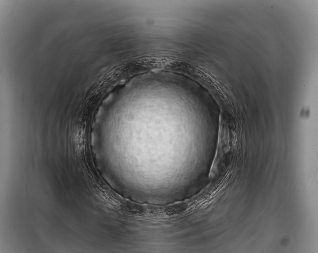 X0000100200818200806061320