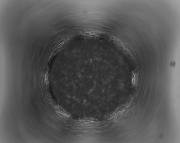 X0000100200819200806061320