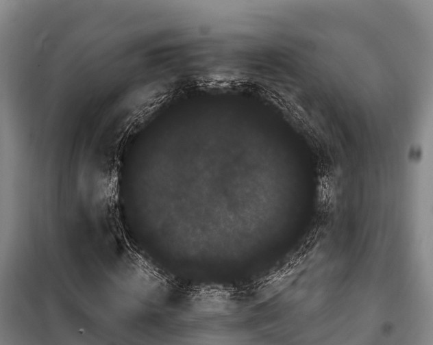 X0000100200820200806061320