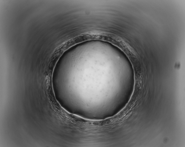 X0000100200821200806061320