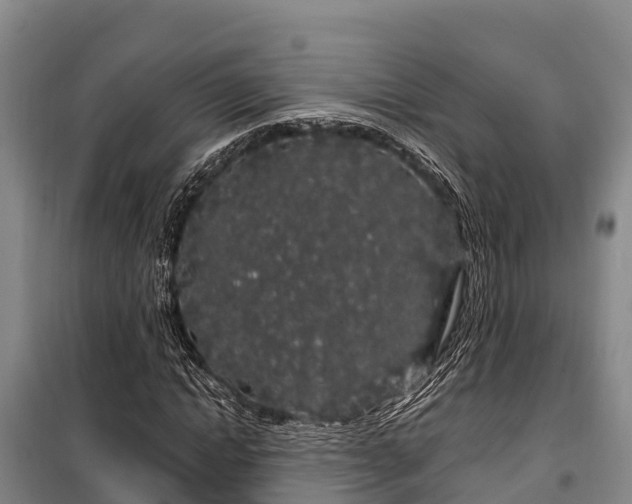 X0000100200822200806061320