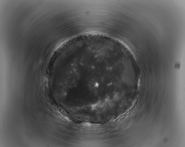 X0000100200823200806061320