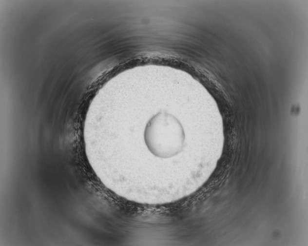 X0000100200824200806061320