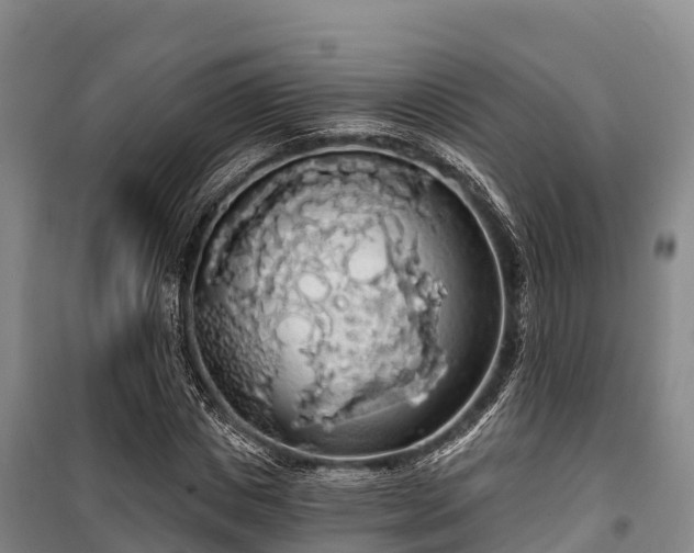 X0000100200825200806061320