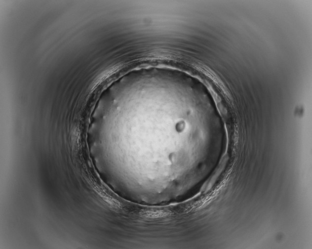 X0000100200826200806061320