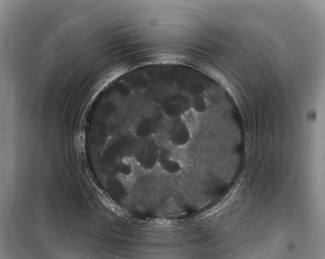 X0000100200827200806061320