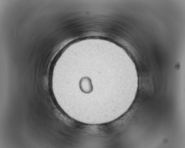 X0000100200828200806061320