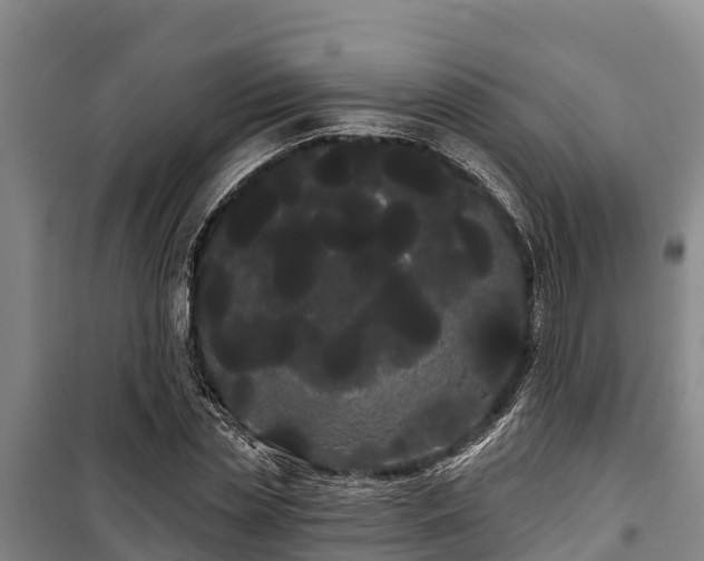 X0000100200829200806061320