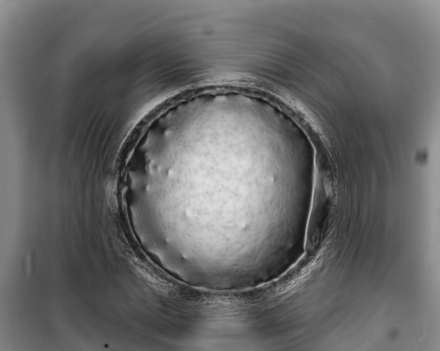 X0000100200830200806061320