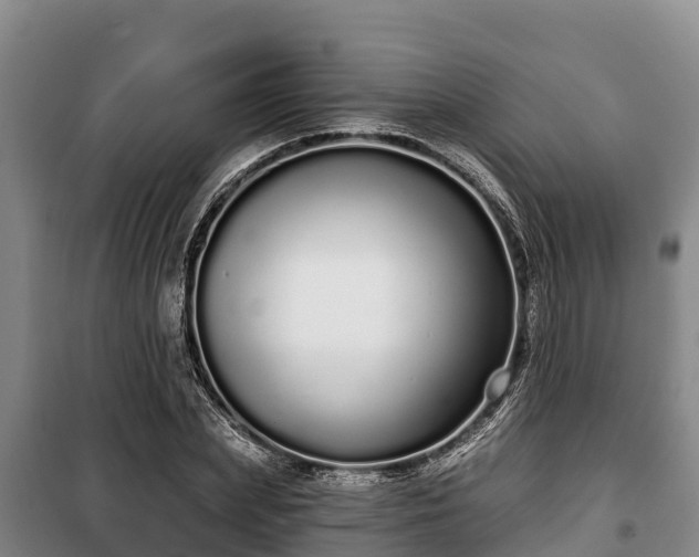 X0000100200831200806061320