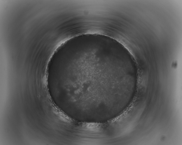 X0000100200832200806061320