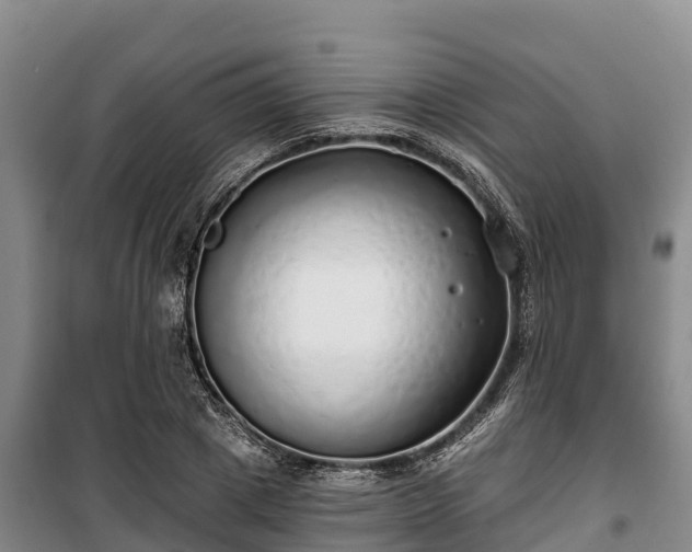 X0000100200833200806061320