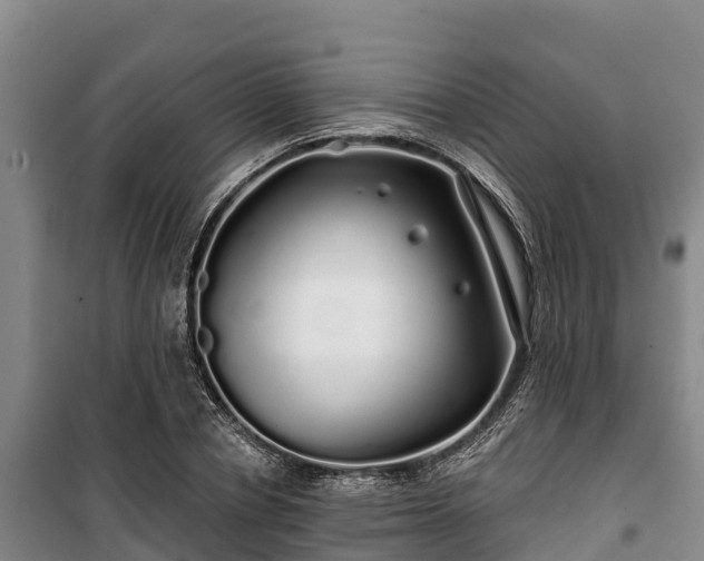 X0000100200834200806061320