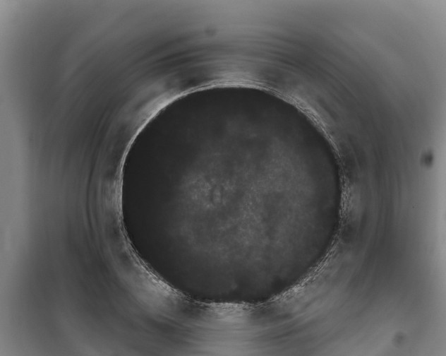 X0000100200836200806061320