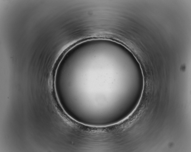 X0000100200838200806061320