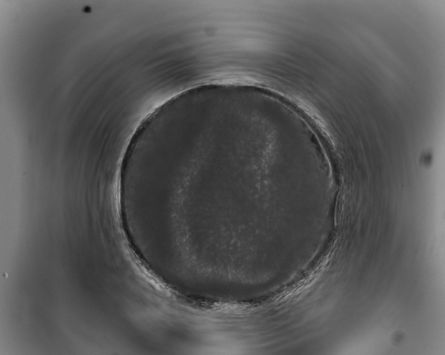 X0000100200840200806061320