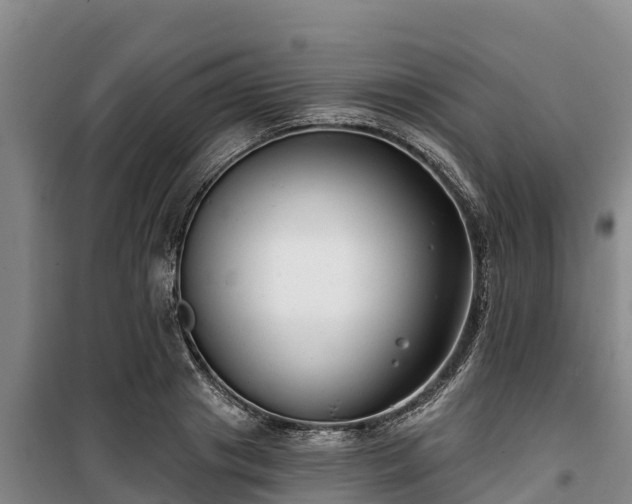 X0000100200841200806061320