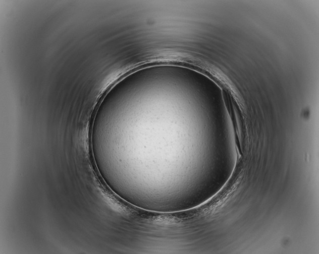 X0000100200842200806061320