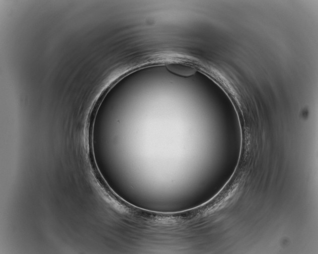 X0000100200843200806061320