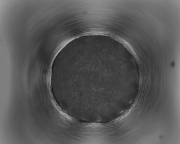 X0000100200844200806061320