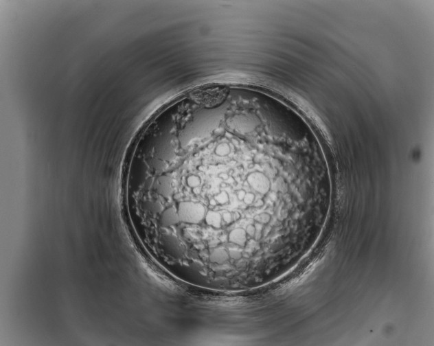 X0000100200845200806061320