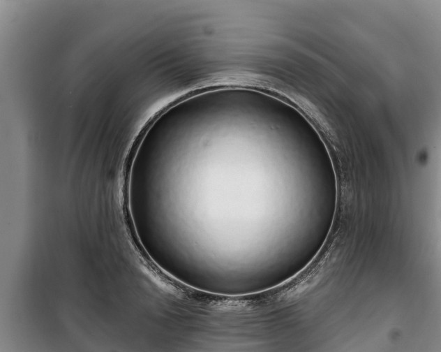 X0000100200846200806061320