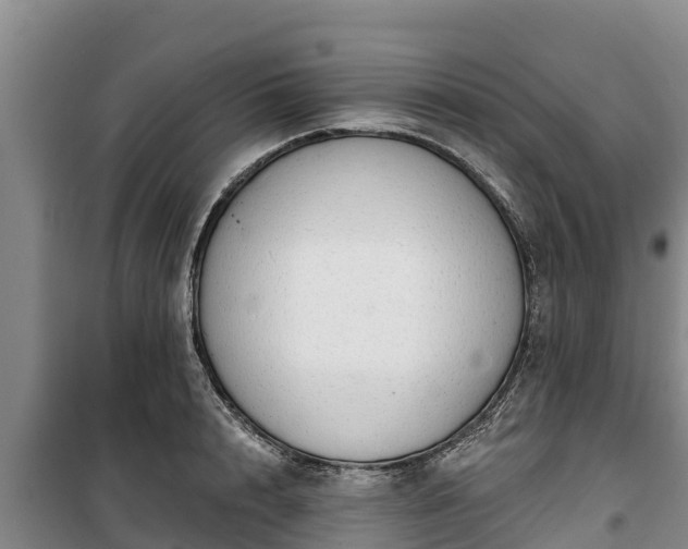 X0000100200848200806061320