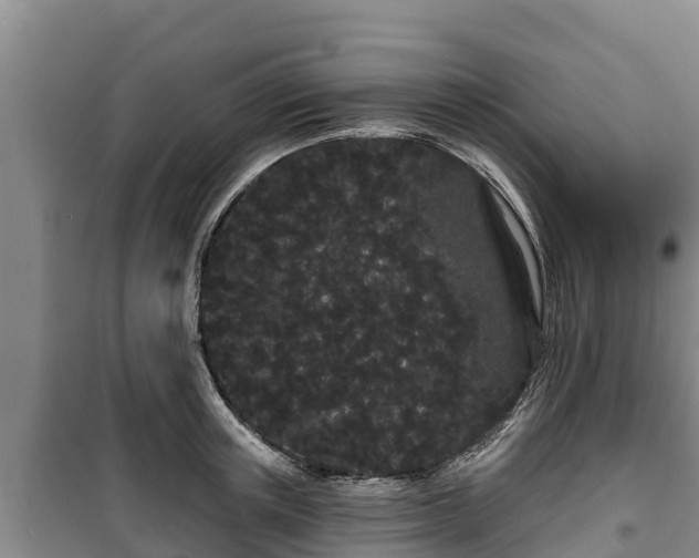 X0000100200851200806061320