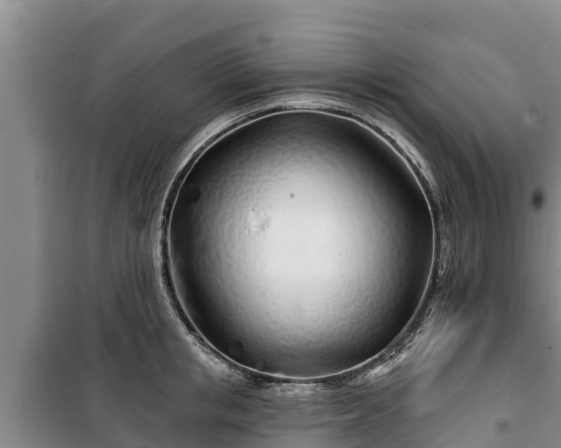 X0000100200853200806061320