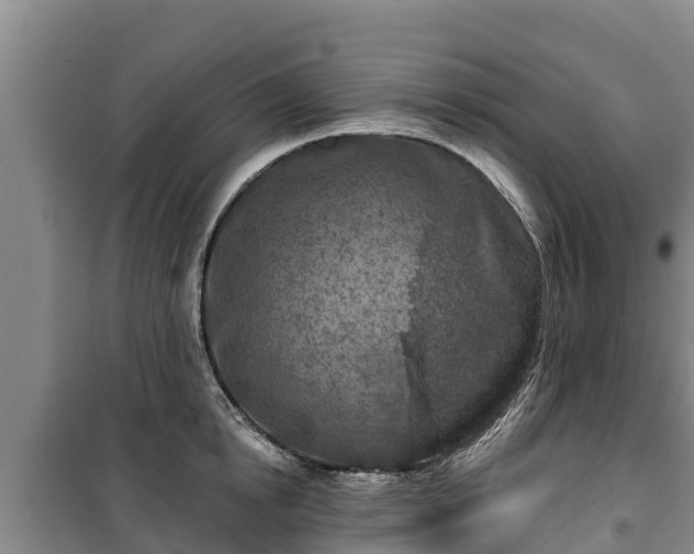 X0000100200854200806061320