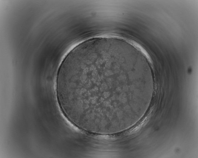 X0000100200855200806061320