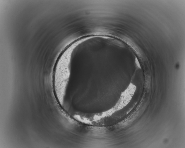 X0000100200856200806061320