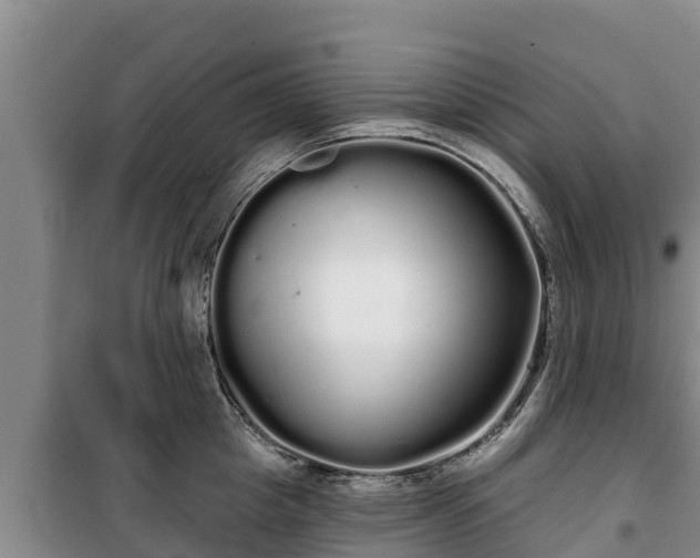 X0000100200857200806061320