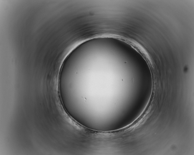 X0000100200860200806061321