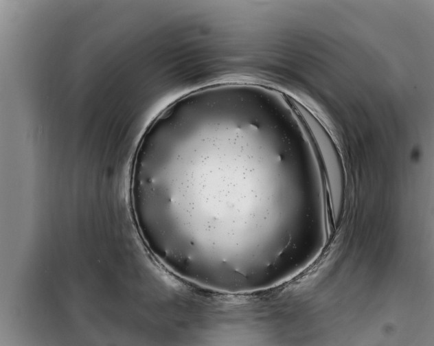 X0000100200862200806061321